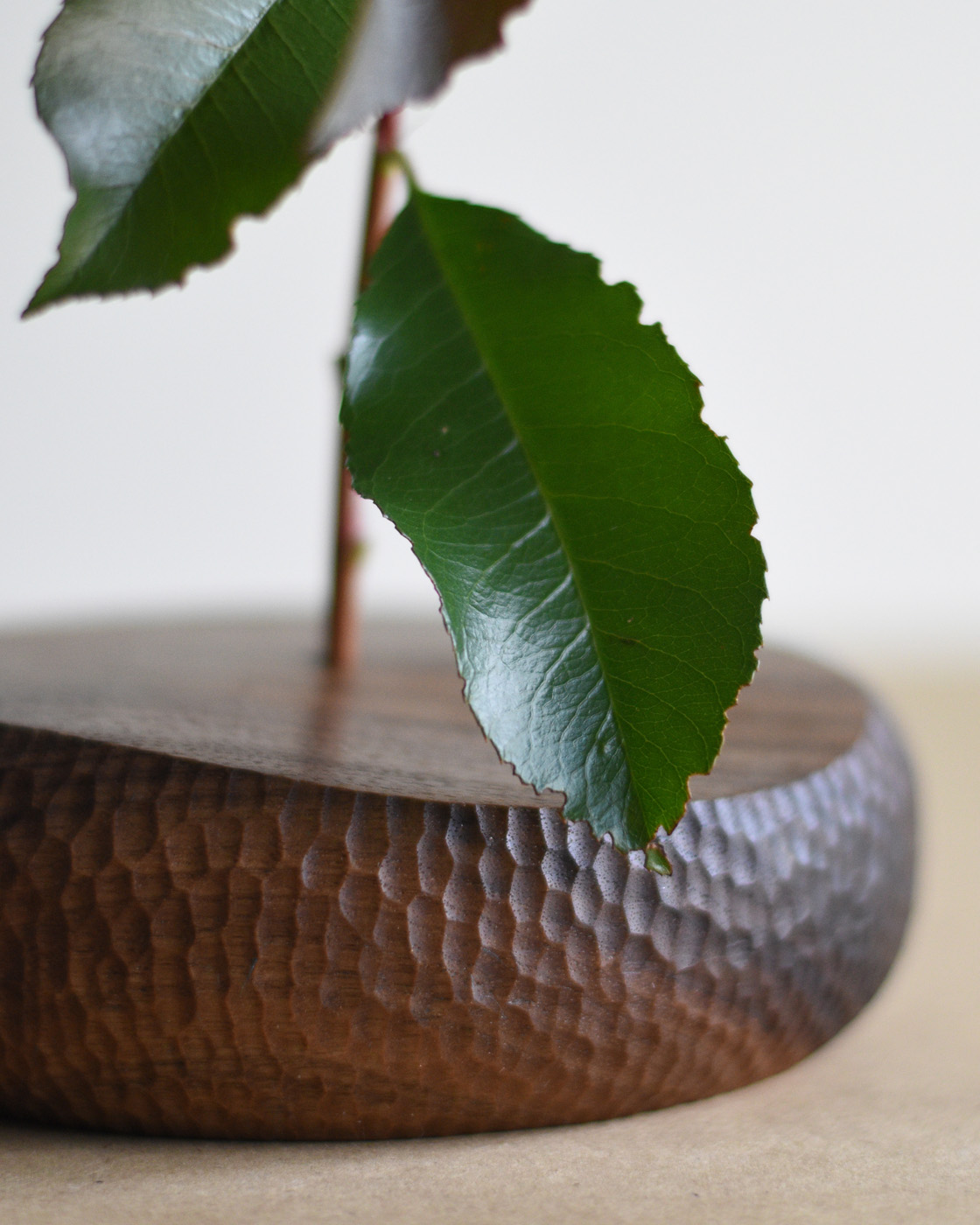 wood bud vase with green leaves